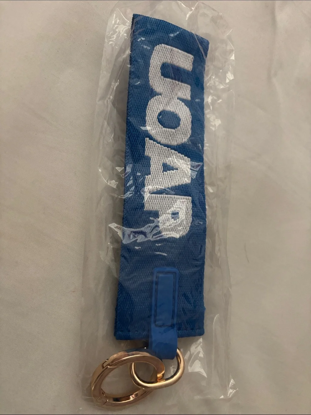 Universal Orlando Annual pass keychain